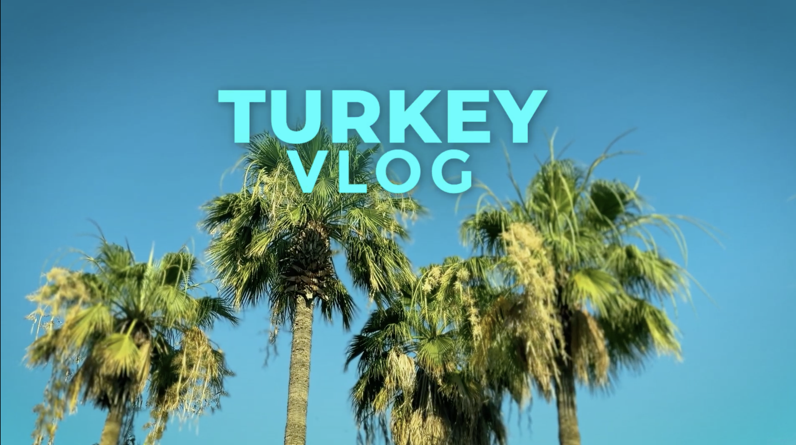 Kadr z vloga z Turcji — palmy na tle błękitnego nieba i napis Turkey Vlog